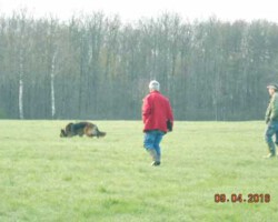 Foto: Stefan Lehnert