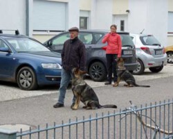 Foto: Stefan Lehnert