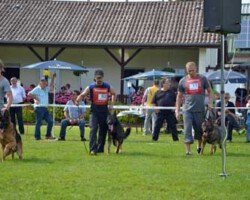 Foto: Daniela Knapp