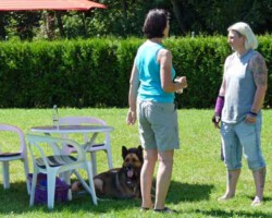 Foto: Stefan Lehnert