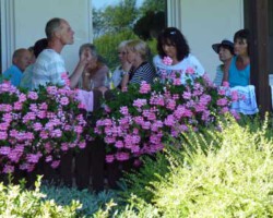 Foto: Stefan Lehnert