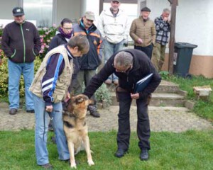 Foto: Stefan Lehnert