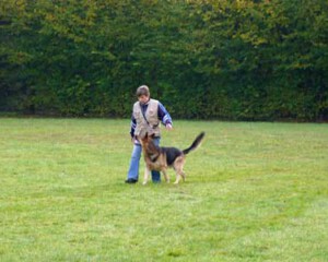 Foto: Stefan Lehnert