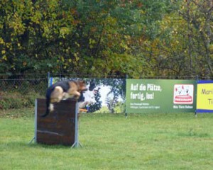 Foto: Stefan Lehnert