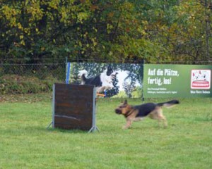 Foto: Stefan Lehnert