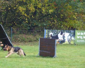 Foto: Stefan Lehnert