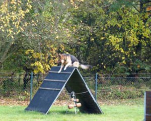 Foto: Stefan Lehnert