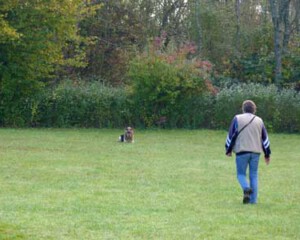 Foto: Stefan Lehnert