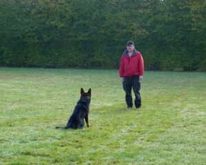 Foto: Stefan Lehnert