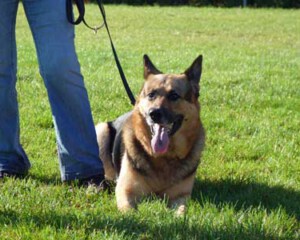 Foto: Stefan Lehnert