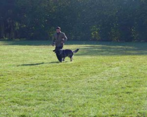 Foto: Stefan Lehnert