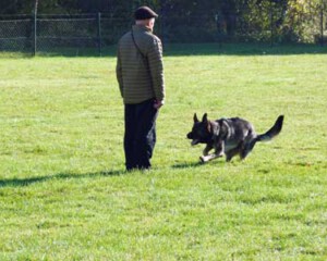 Foto: Stefan Lehnert