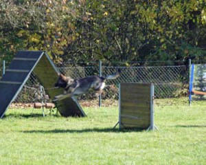 Foto: Stefan Lehnert