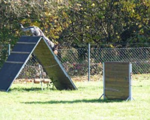 Foto: Stefan Lehnert