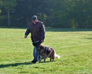 Foto: Stefan Lehnert