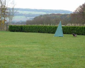 Foto: Stefan Lehnert