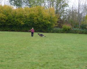 Foto: Stefan Lehnert