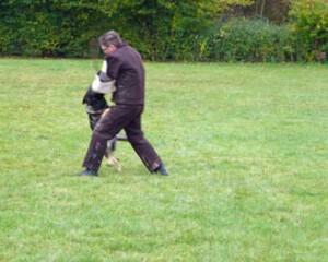 Foto: Stefan Lehnert