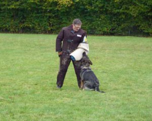 Foto: Stefan Lehnert