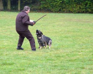 Foto: Stefan Lehnert