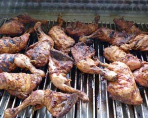 Foto: Stefan Lehnert