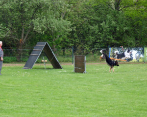 Foto: Stefan Lehnert