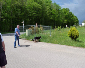 Foto: Stefan Lehnert