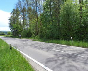 Foto: Stefan Lehnert