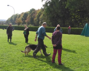 Foto: Sandra Schwarz