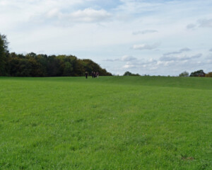 Foto: Stefan Lehnert