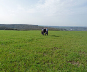 Foto: Stefan Lehnert