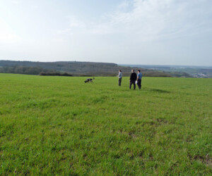 Foto: Stefan Lehnert