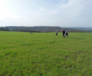 Foto: Stefan Lehnert