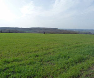 Foto: Stefan Lehnert