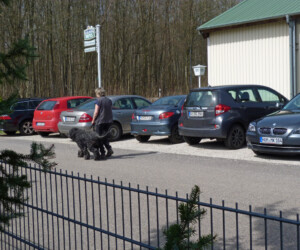 Foto: Stefan Lehnert