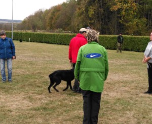 Foto: Sandra Schwarz