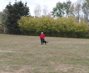 Foto: Sandra Schwarz