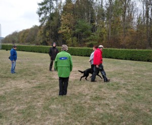 Foto: Sandra Schwarz