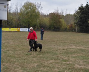 Foto: Sandra Schwarz