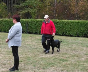 Foto: Sandra Schwarz