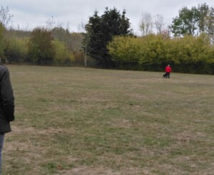 Foto: Sandra Schwarz