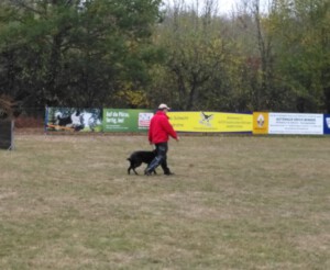 Foto: Sandra Schwarz