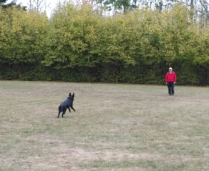 Foto: Sandra Schwarz