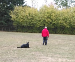 Foto: Sandra Schwarz