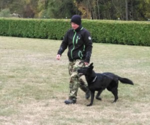 Foto: Sandra Schwarz