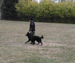 Foto: Sandra Schwarz