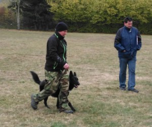 Foto: Sandra Schwarz