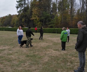 Foto: Sandra Schwarz