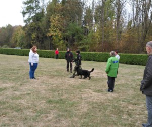 Foto: Sandra Schwarz