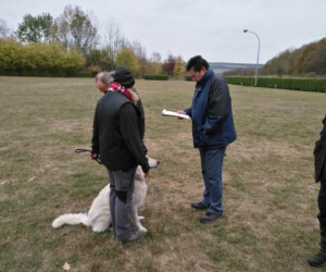 Foto: Sandra Schwarz